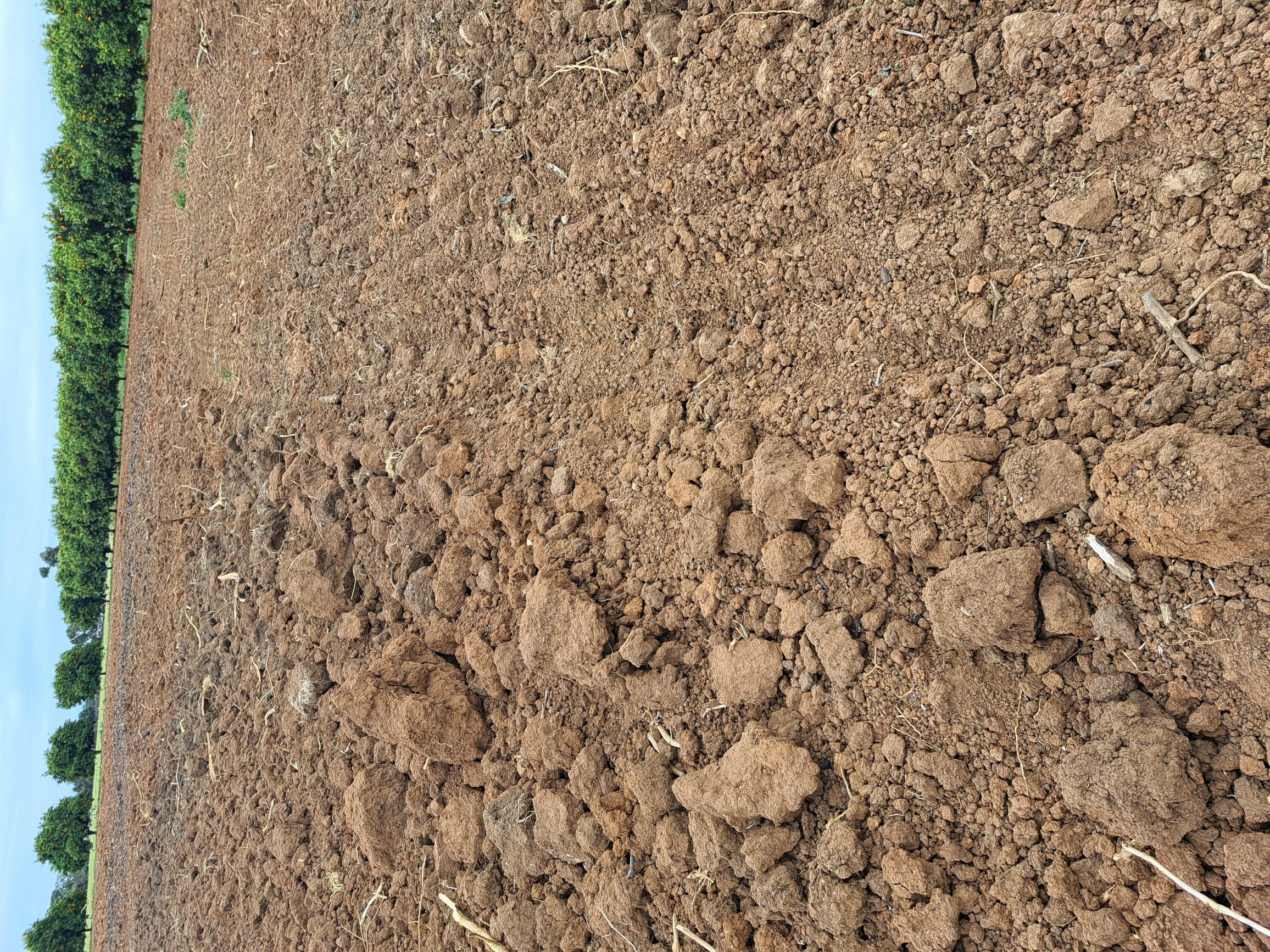 003 Side by side pass